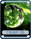 cryba06