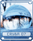 cryba07