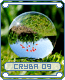 cryba09