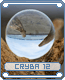 cryba12