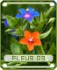fleur03