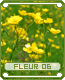 fleur06