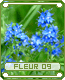 fleur09
