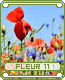 fleur11