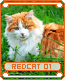redcat01