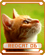 redcat06