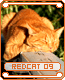 redcat09