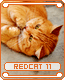 redcat11