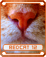 redcat12
