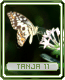 tanja11