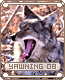 yawning08